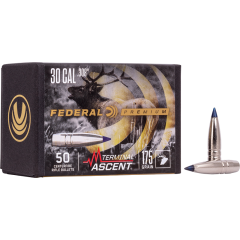 Ogives Federal Terminal Ascent