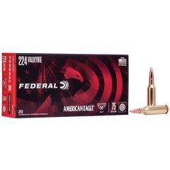 Munitions FEDERAL C/.224 Valkyrie 75gr American Eagle FMJ - Boîte de 20