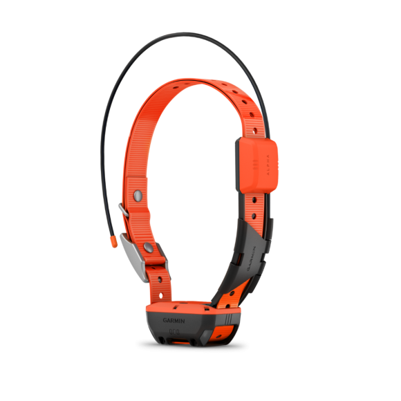 Collier De Suivi Garmin T20F