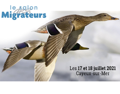 Vignette Salon des Migrateurs 2021